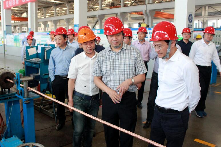 南京航空航天大学党委书记郑永安一行来GA黄金甲电缆旅行