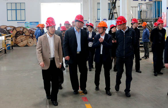 常州市副市长李小平一行来GA黄金甲电缆考察