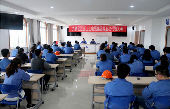 2016年4月20日，共青团GA黄金甲第五次代表大会召开