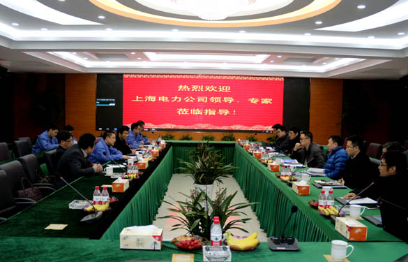 上海电力公司、上缆所向导、专家一行来GA黄金甲电缆交流考察