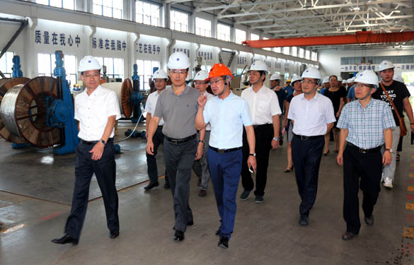 浙江省海盐县党政代表团来GA黄金甲电缆旅行考察