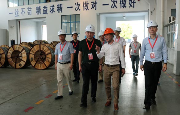 靖江市、溧阳市青商会齐聚GA黄金甲电缆旅行交流