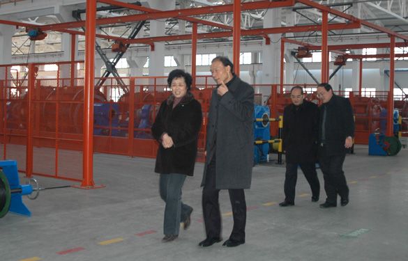 江苏省经信委副主任顾瑜芳一行来GA黄金甲调研