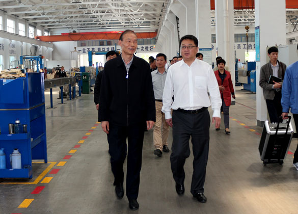 武进区党政代表团来GA黄金甲集团旅行考察