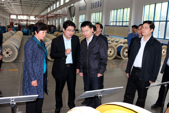 巢湖市委副书记张生一行来GA黄金甲集团旅行考察