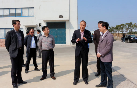 溧阳市代市长蒋锋一行来GA黄金甲集团督查新开工项目
