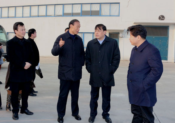 常州市市长费高云一行来GA黄金甲督查新开工项目