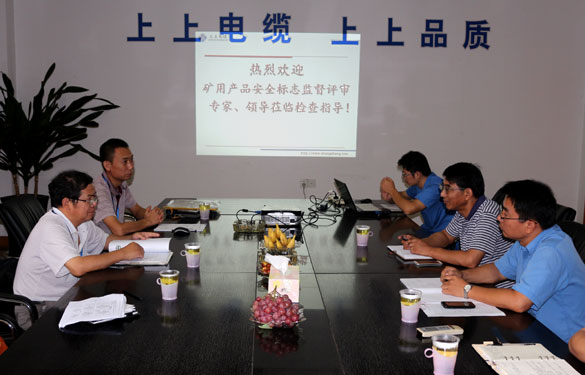 GA黄金甲顺遂通过安标现场监视评审