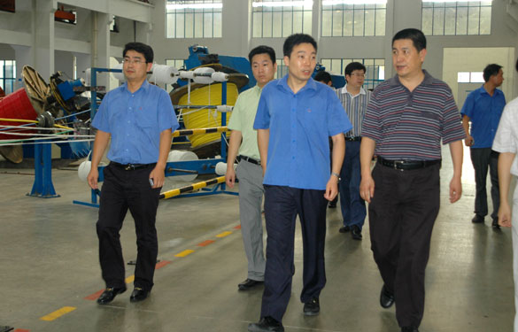 淮南市王市长一行来GA黄金甲旅行考察