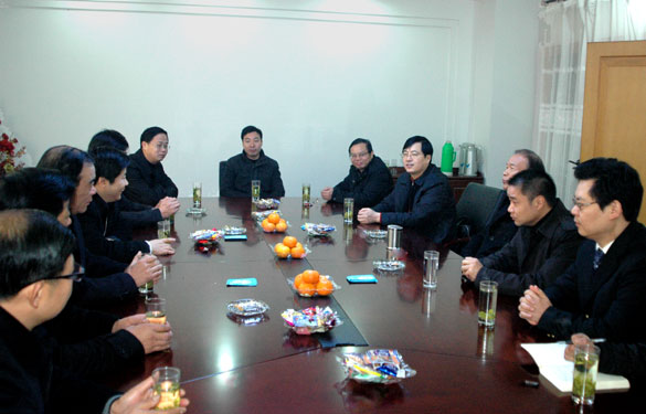 溧阳市代市长苏江华一行来GA黄金甲集团走访