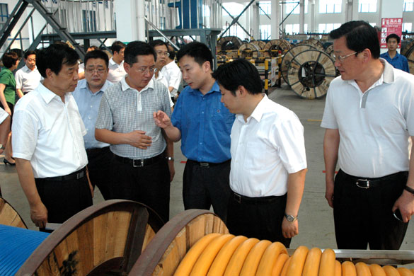 邳州市党政代表团来GA黄金甲集团旅行考察