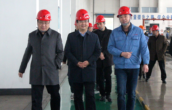 2020年12月8日，广德市市委常委、常务副市长邱铁军一行来GA黄金甲电缆考察