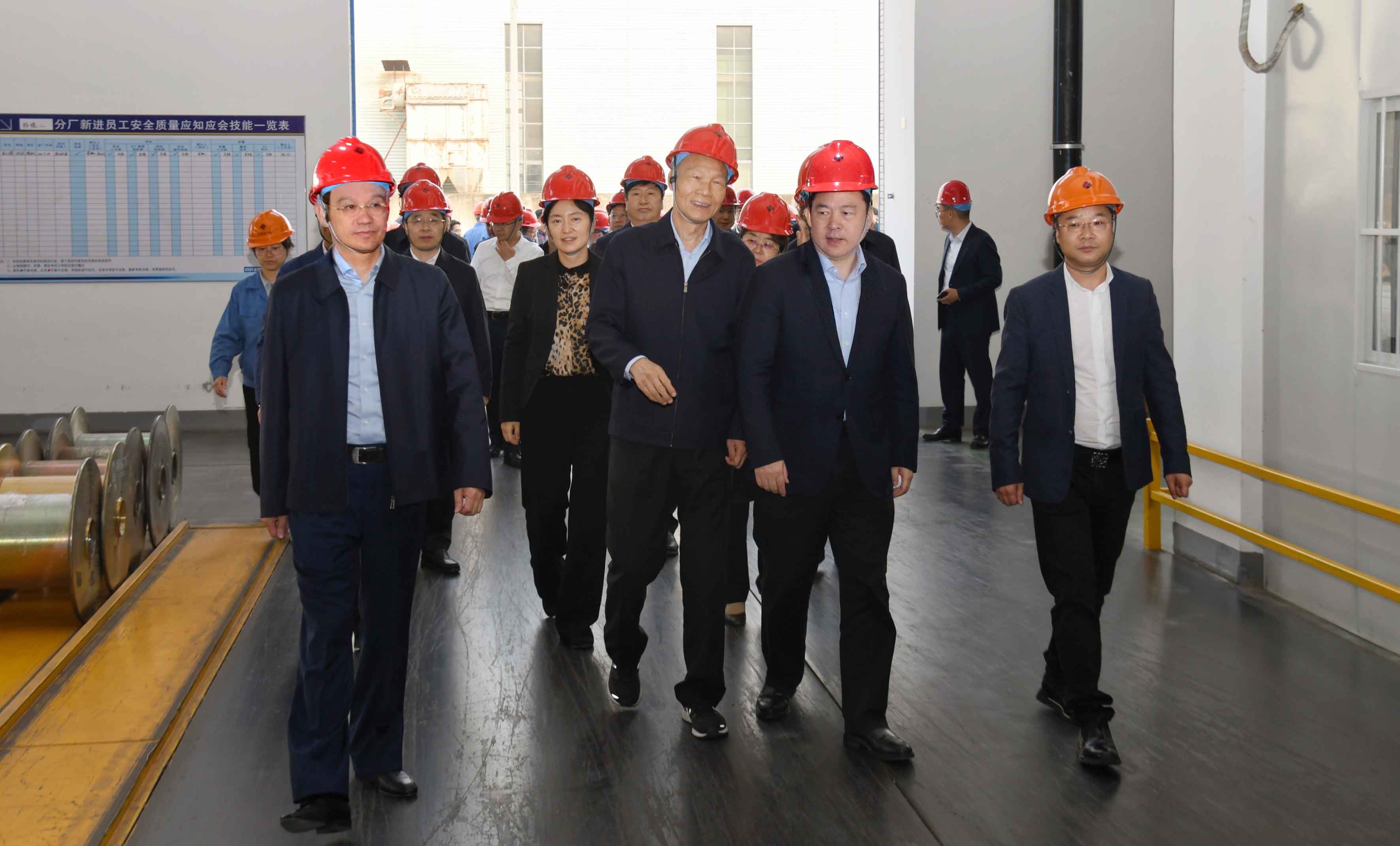 陈金虎、盛蕾带队督查GA黄金甲电缆特种电缆项目