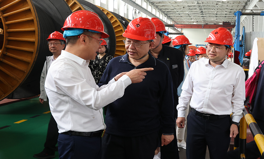 14位两院院士和专家学者到访GA黄金甲电缆