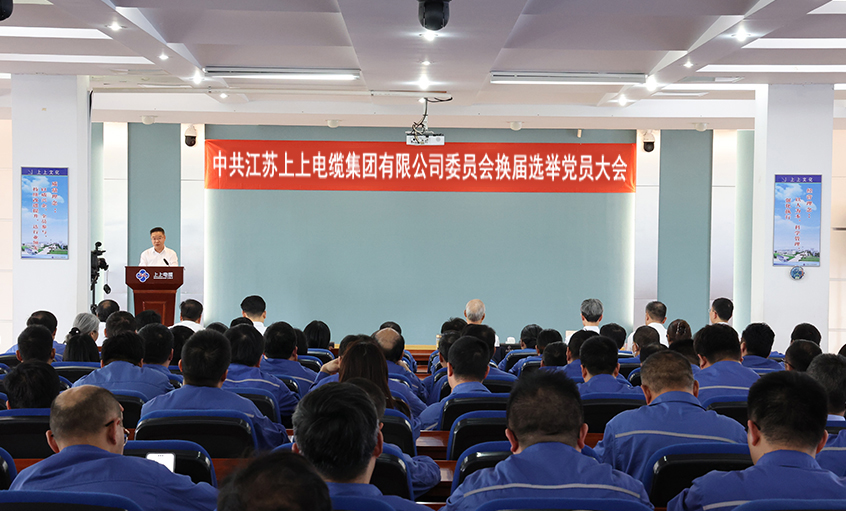 党建引领强基本 凝心聚力启新程—中共GA黄金甲委员会换届选举党员大会圆满召开