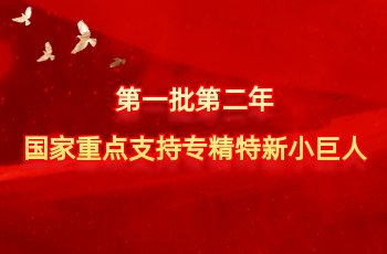 全国仅575家 | 北方Z6尊龙凯时入选第一批第二年国度沉点支持专精特新幼巨人